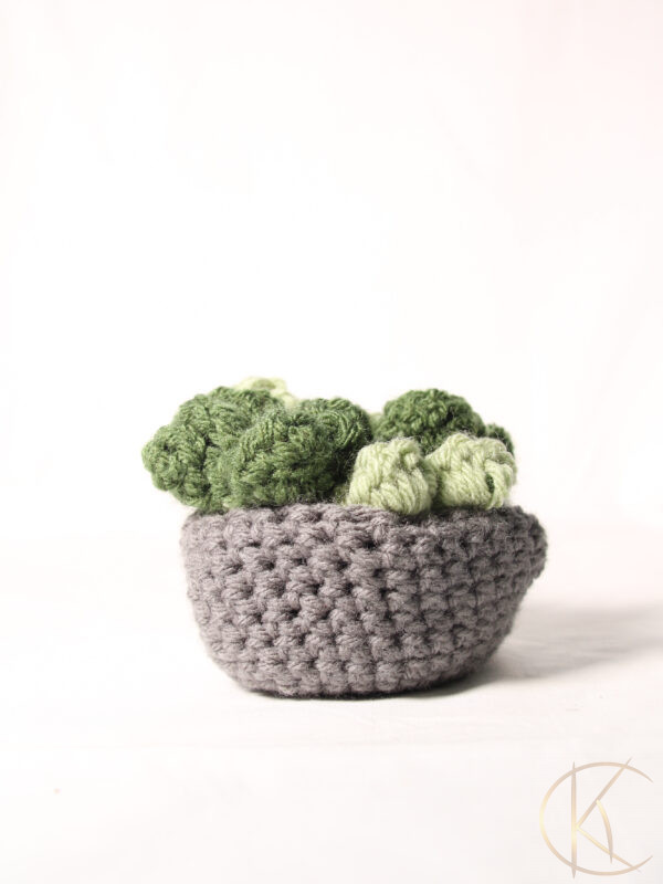 Crochet Succulent Plant Pot Coaster Set 1