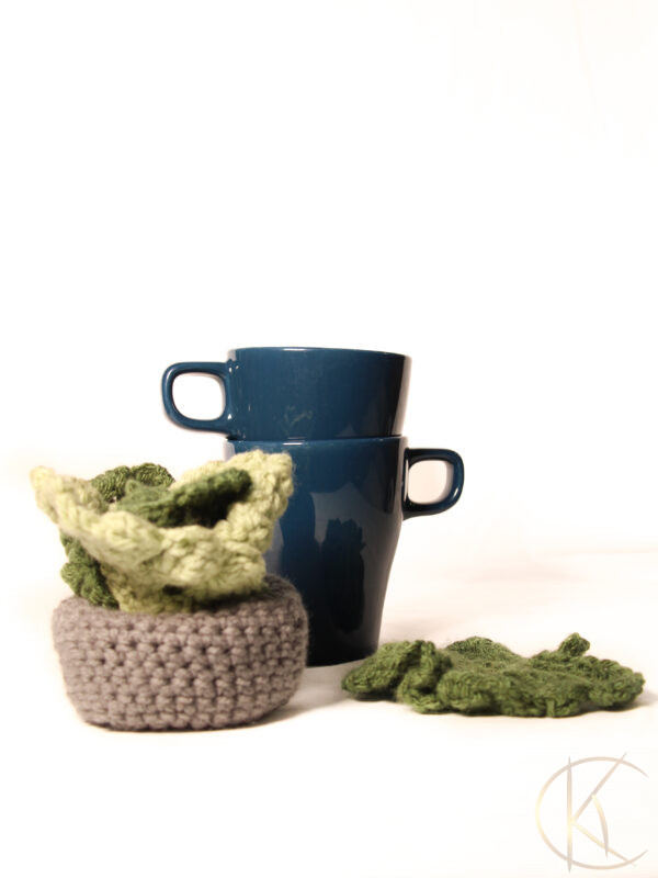 Crochet Succulent Plant Pot Coaster Set 2 - Image 5