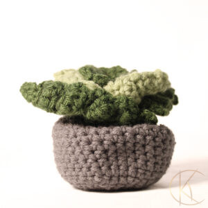 Crochet Succulent Plant Pot Coaster Set 2
