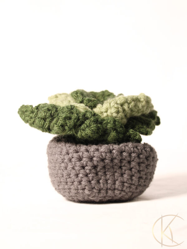 Crochet Succulent Plant Pot Coaster Set 2