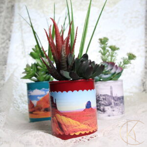 Plants in Cans / Desk Plants